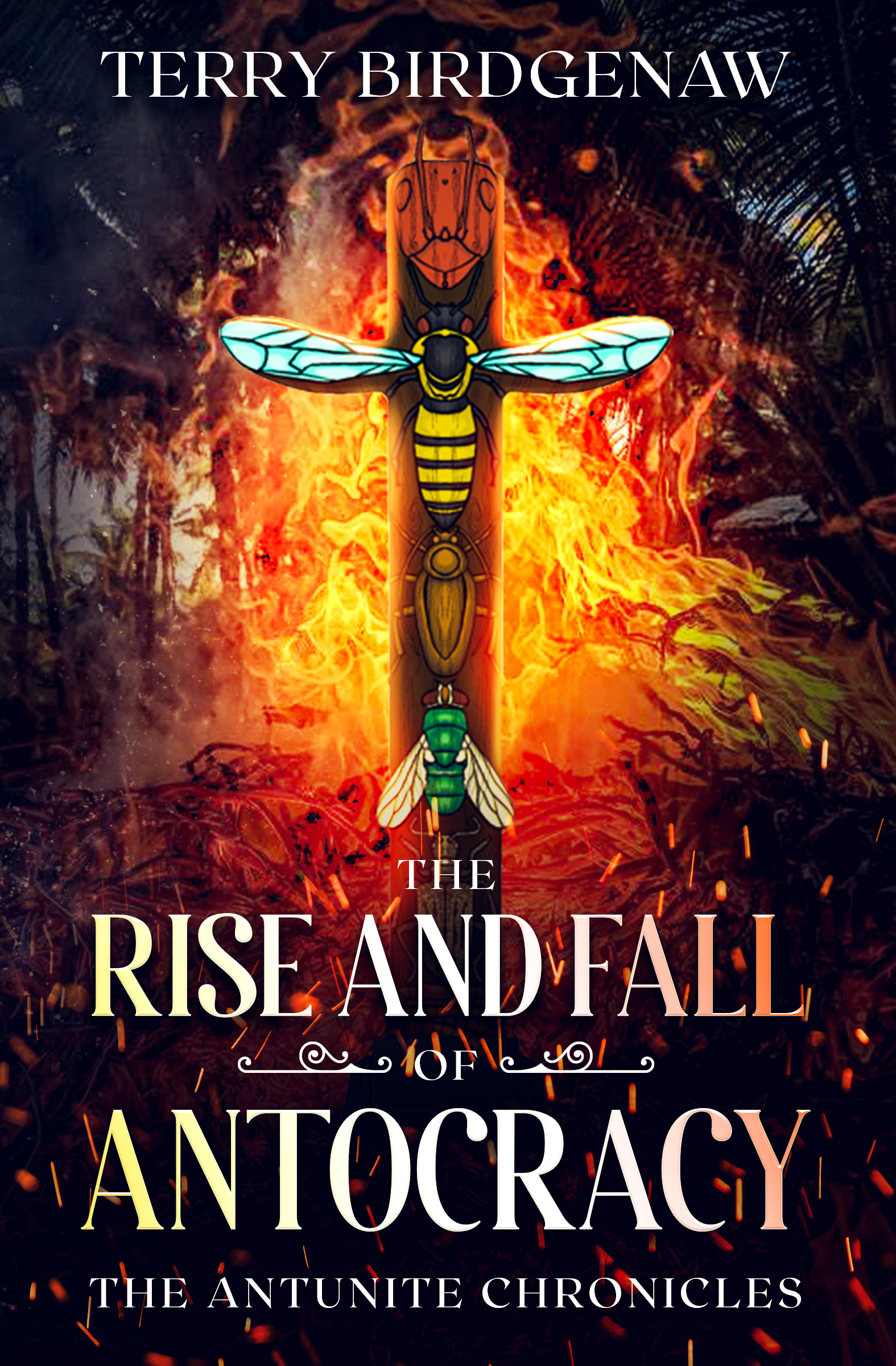 Book Cover for The Rise and Fall of Antocracy