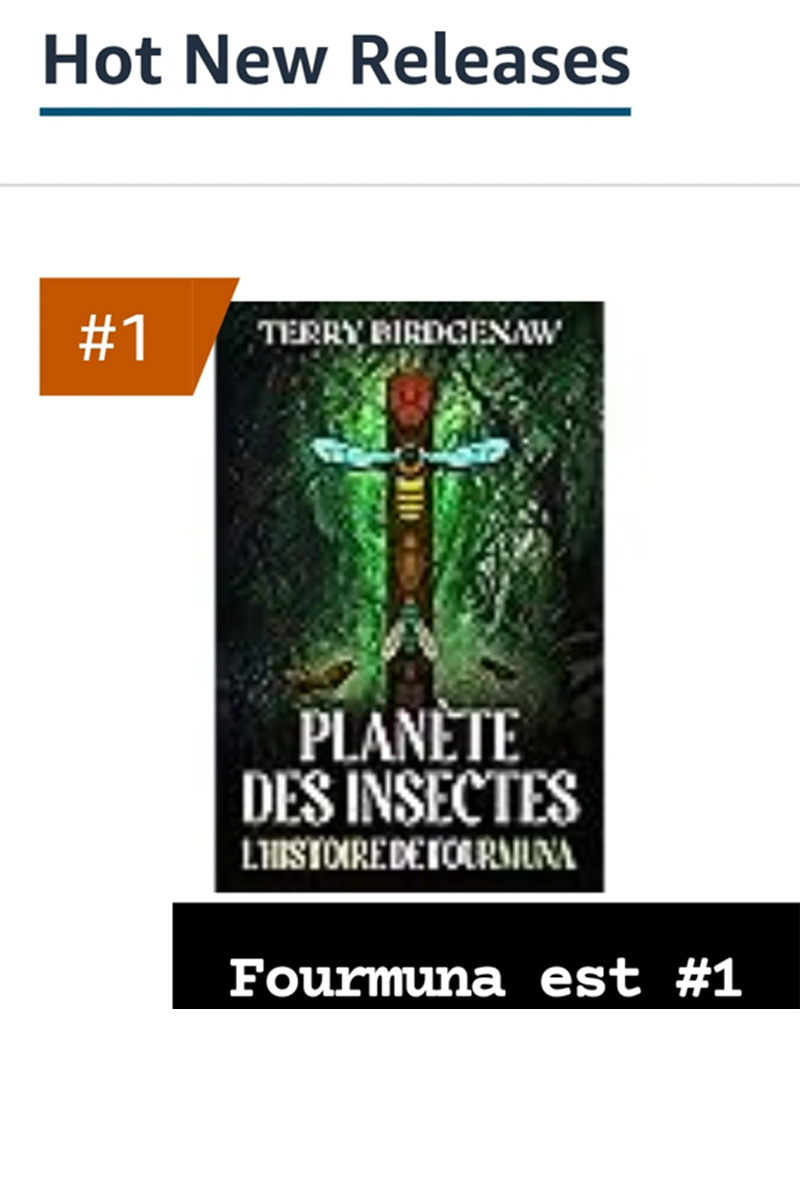 L'Histoire de Fourmuna number one French Fiction